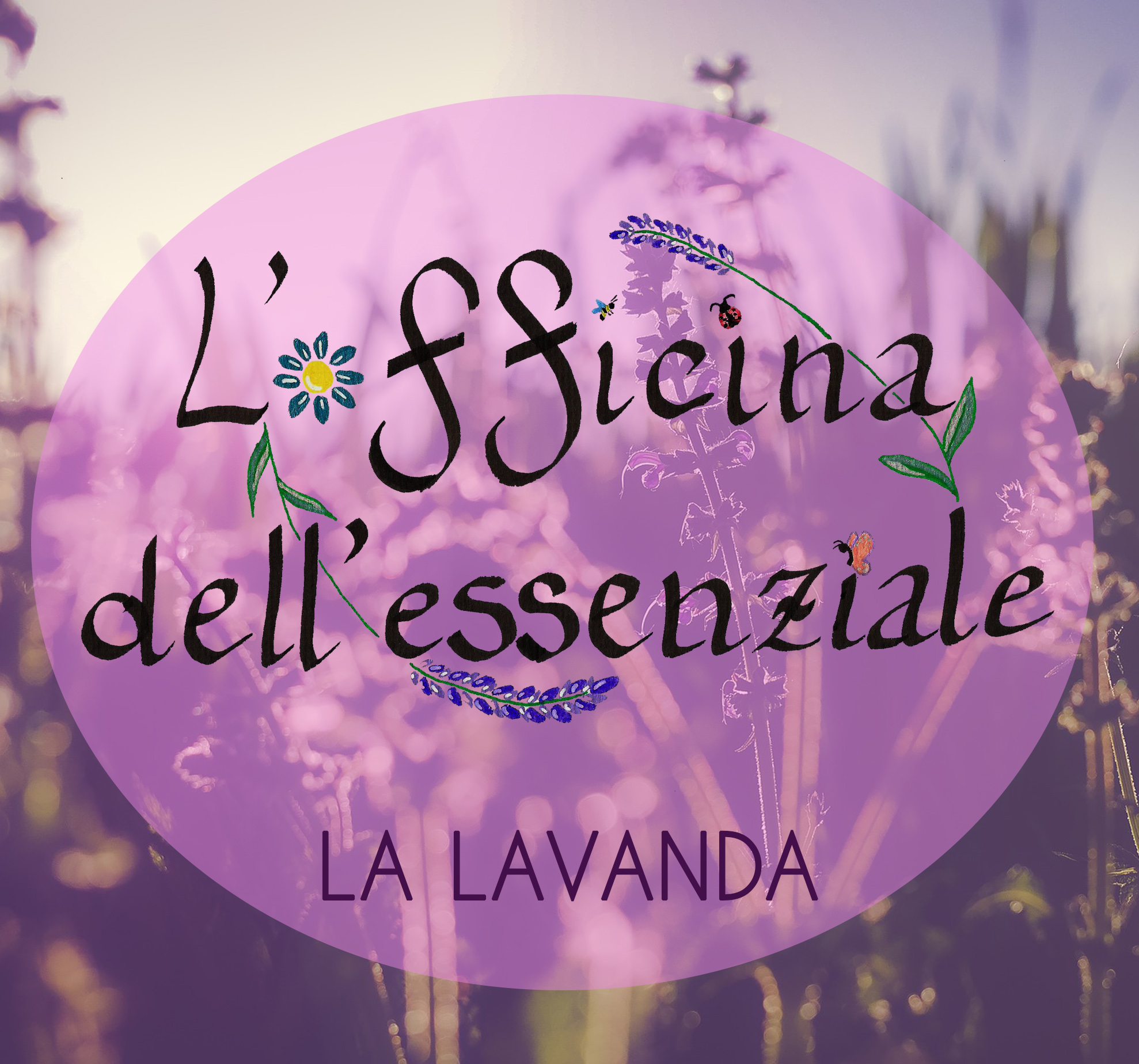 [Officina dell’essenziale] La lavanda