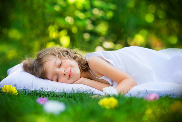 Il potere delle piante per dormire sonni tranquilli