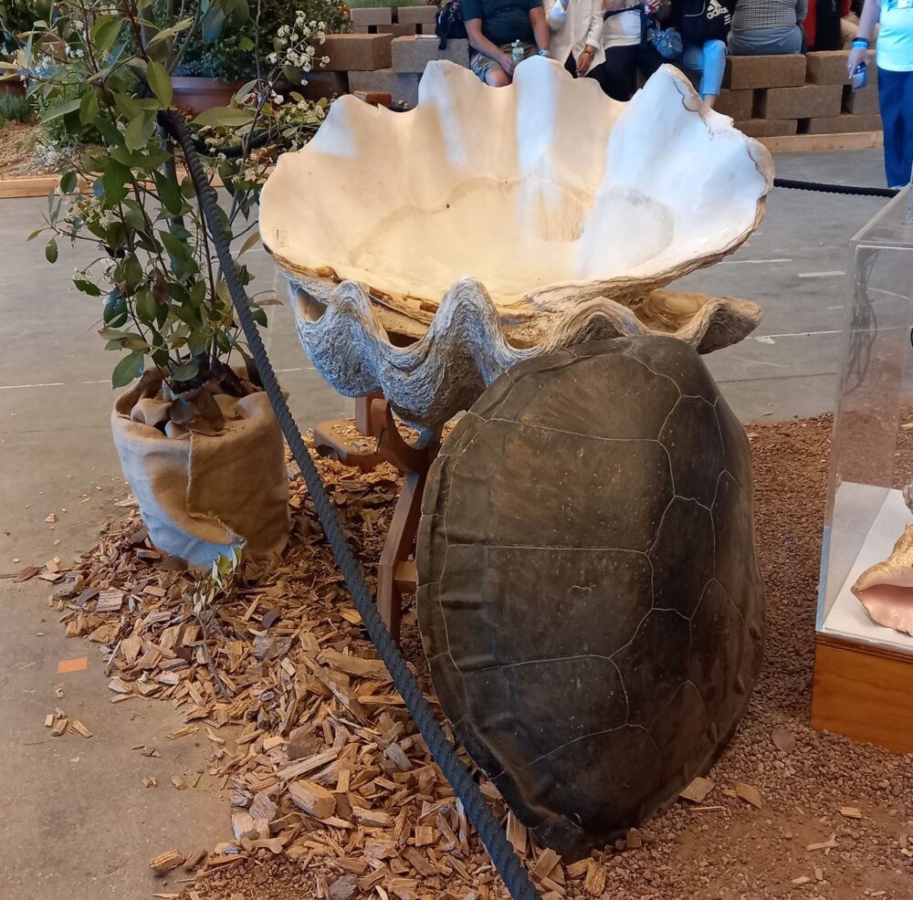 euroflora 2025