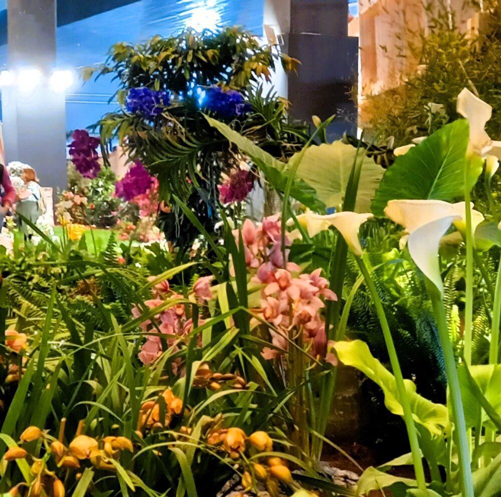 euroflora 2025