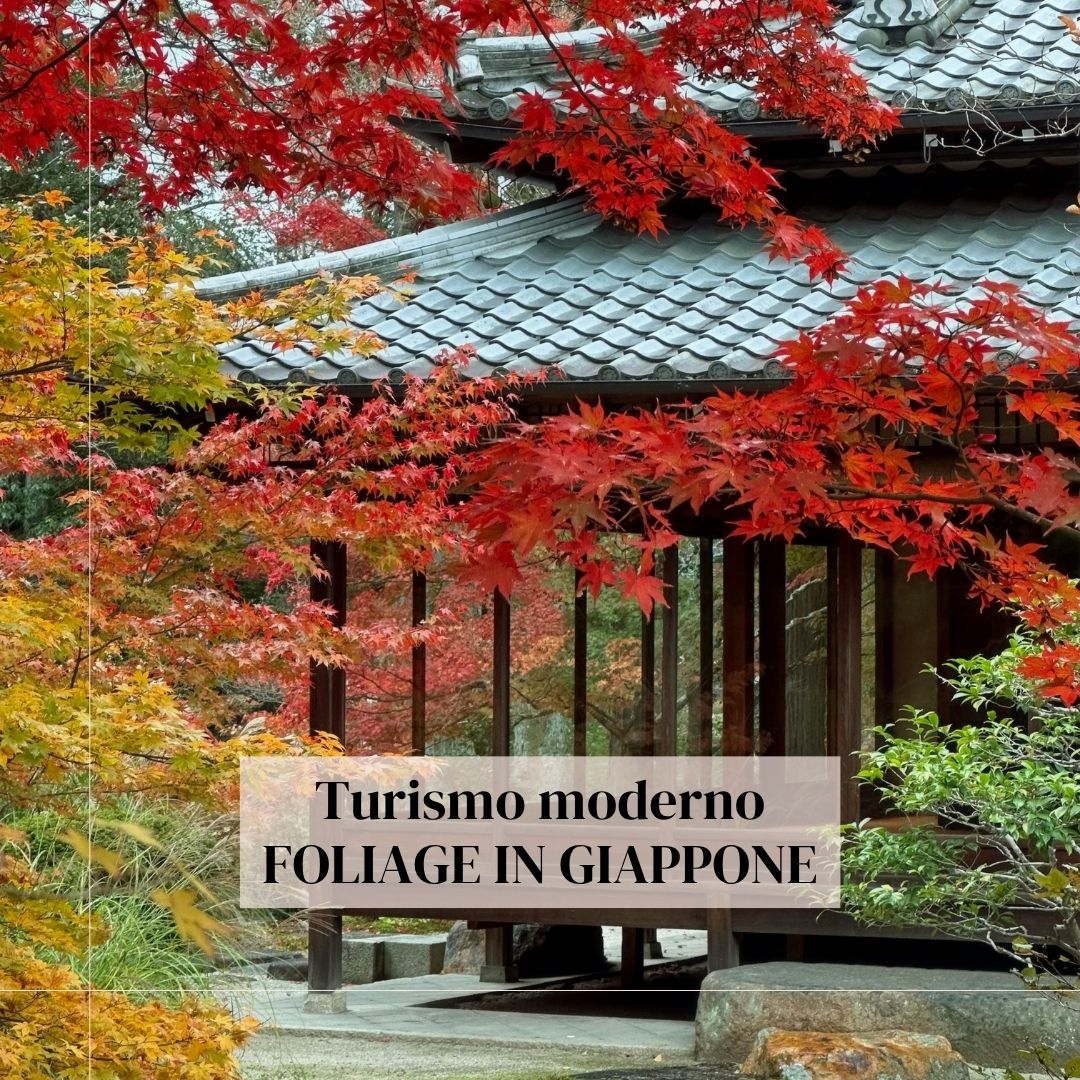 foliage in giappone (5)