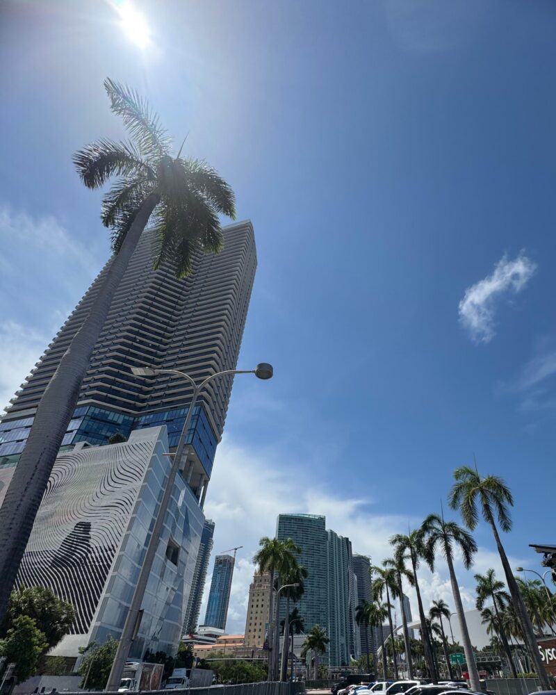 skyline di Miami con palme e grattacieli