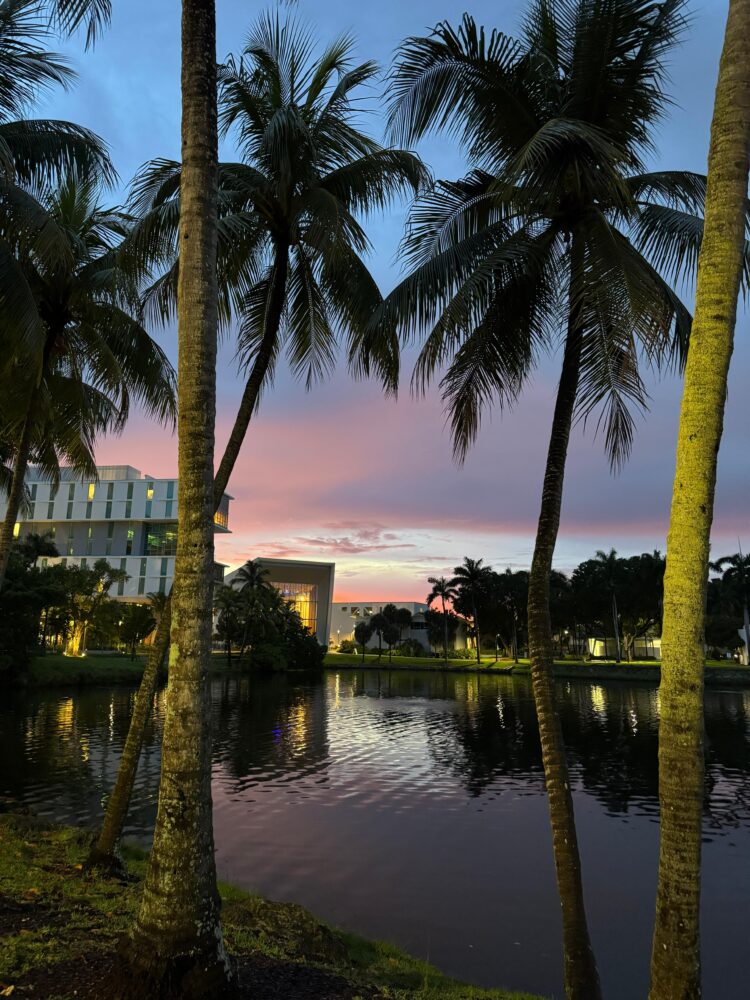Miami al tramonto, vista panoramica con palme e mare